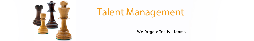 talent management banner